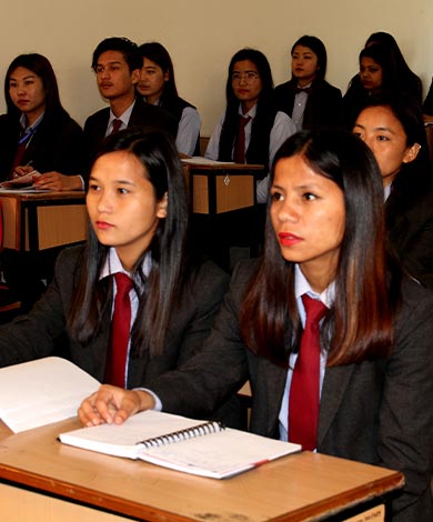 Bachelor of Arts in Political Science