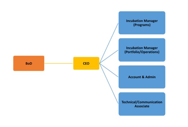 Governance-Structure
